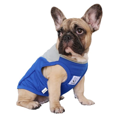 French bulldog summer cooling - bulldog,