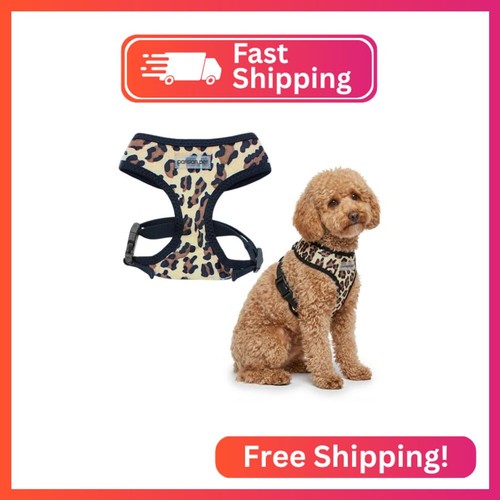 Parisian pet leopard dog - pet,