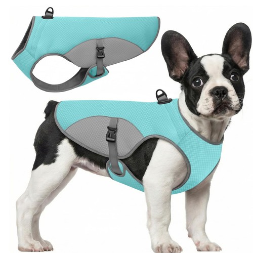 Large dog cooling jacket pet - large,