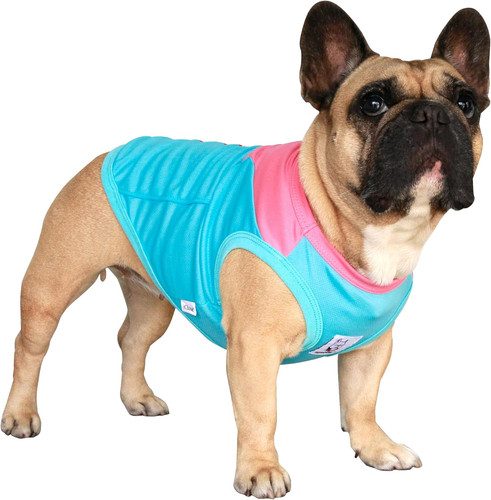 French bulldog summer cooling - summer,