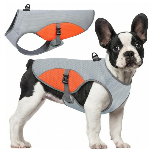 Large dog cooling - dog, pet